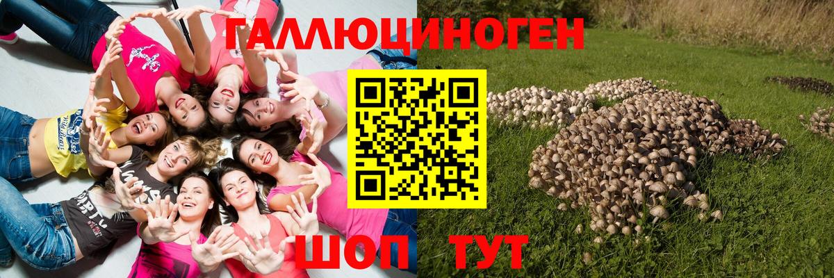 Галлюциногенные грибы прущие грибы Дивногорск